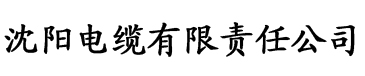 在线麻豆视频电缆厂logo